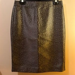 J Crew skirt